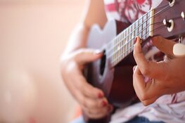 Nieuwe cursus kampvuur gitaar