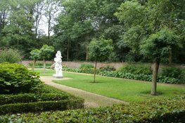 Bolacacia's voor buitenplaats Beeckestijn