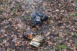 Laadruimte van vuilniswagen vat vlam in Heemskerk