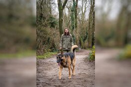 Dierenasiels stromen leeg in coronatijd