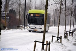 Winterse zondag in beeld