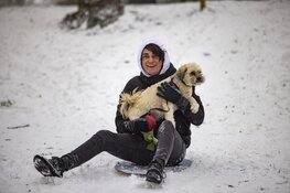 Winterpret in Haarlem