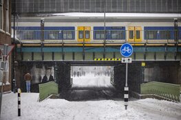 Winterpret in Haarlem