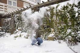 Winterpret in Haarlem