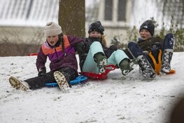 Winterpret in Haarlem