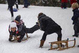 Winterpret in Haarlem