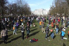 Klimaatalarm Haarlem groot succes