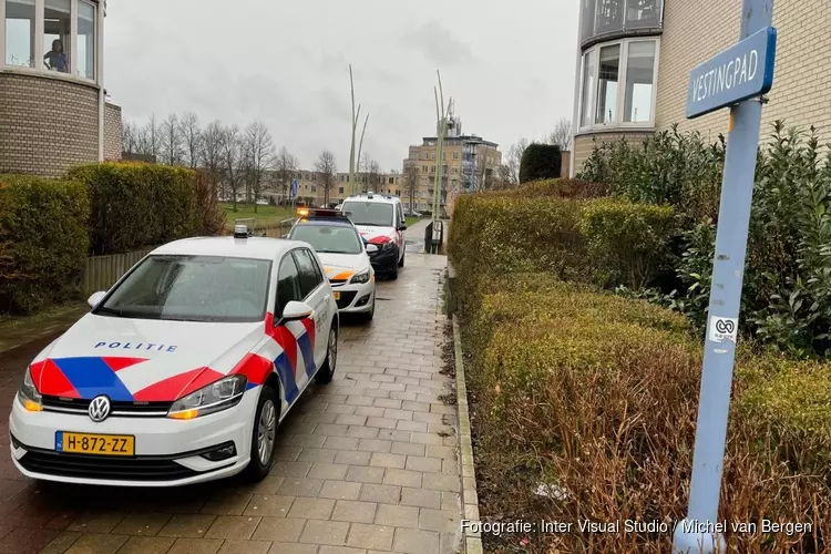 Handhaver mishandeld in Velserbroek