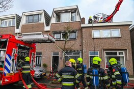 Katten gered bij woningbrand in Beverwijk