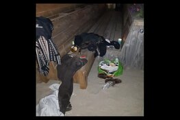 Aanhouding na diefstal uit strandpaviljoen in Zandvoort