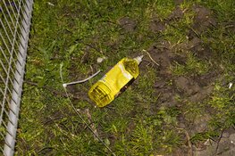 Auto in de brand gestoken aan de Jan Prinslaan in Haarlem