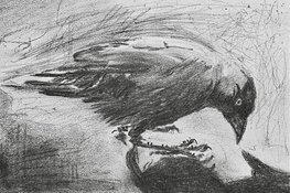 De Kop kan weer Knallen