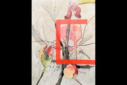 De Kop kan weer Knallen