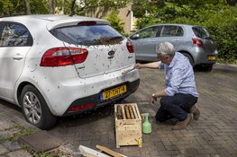 Imker haalt duizenden bijen van geparkeerde auto in Haarlem