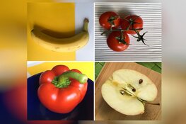 Een maand lang activiteiten met Beverwijk Uit de Kunst