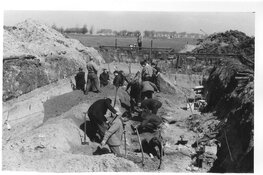 Hout van Romeins legerkamp Velsen onder de loep