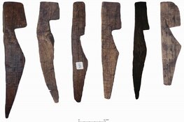 Hout van Romeins legerkamp Velsen onder de loep