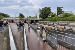 Fotoalbum: veel wateroverlast in grote delen van Noord-Holland