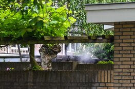 Brandweer uitgerukt voor 'middelbrand' in schuurtje Uitgeest