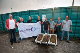 Healthy Seas beach cleanup en duikbootbezoek in IJmuiden