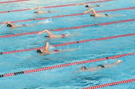 Het leukste en sportiefste zwemevenement voor de hele  familie ! De Zomer Zwem4daagse!