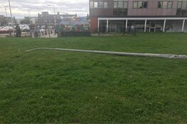 Bus raakt van de weg in IJmuiden