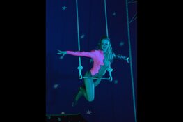 Circus Barani komt naar Castricum