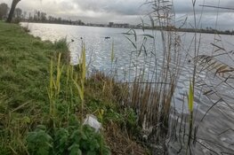 Haarlem Cleanup: Opschonen Spaarne-oevers