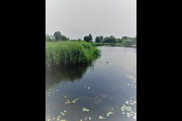Rondleiding Park Assumburg in Heemskerk op zondag 31 oktober