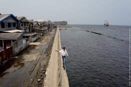 IDFA ook dit jaar te zien in filmtheater Velsen