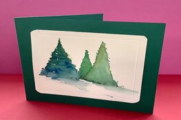 Workshops in december Kop van WaZ