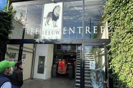 Makro Beverwijk doneert reuze pompoen aan leeuwenverblijf