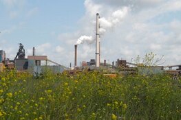 Provincie Noord-Holland positief over inzet Rijk bij gezonde leefomgeving IJmond