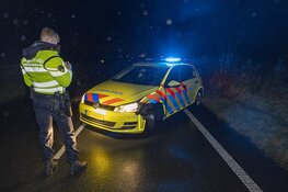 Medewerker ambulancedienst botst tegen hert op de Zeeweg