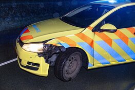 Medewerker ambulancedienst botst tegen hert op de Zeeweg