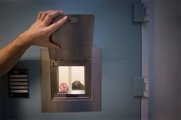 Gevangenisstraffen voor doodslag en wegmaken lichaam in Mooie Nel