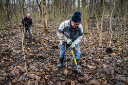 Vrijwilligers oogsten zo'n 2.000 jonge boompjes in Wijkeroogpark voor tweede leven op nieuwe plek