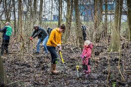 Vrijwilligers oogsten zo'n 2.000 jonge boompjes in Wijkeroogpark voor tweede leven op nieuwe plek