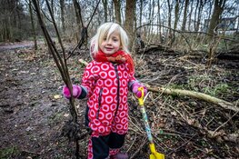 Vrijwilligers oogsten zo'n 2.000 jonge boompjes in Wijkeroogpark voor tweede leven op nieuwe plek