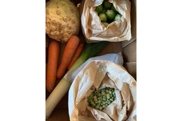 Buren uit de Amsterdamse buurt halen ProeVkantoor naar Haarlem