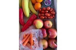 Buren uit de Amsterdamse buurt halen ProeVkantoor naar Haarlem