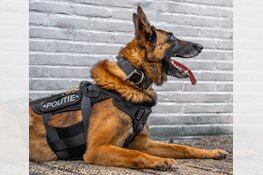 Heeft u informatie over deze overvaller?