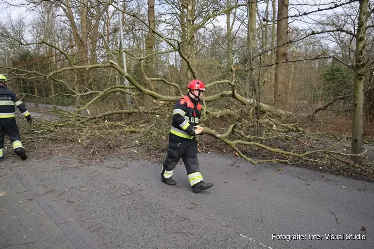 Fonteinlaan in Haarlem gestremd door meerdere omgewaaide bomen