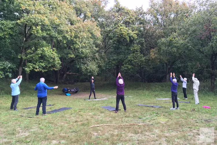 Fitheidsprogramma voor 60-plussers