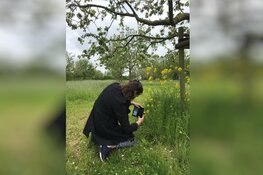Workshop fotowandeling in de natuur