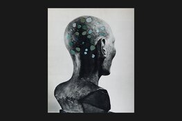 Nieuwe expositie in provinciehuis: Copy-Cat