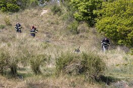 Duinbrandje Zandvoort snel geblust