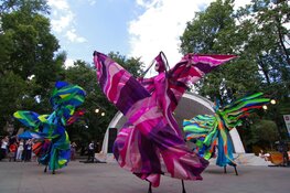 50 artiesten zetten Kerkplein in Beverwijk op zijn kop - Het Vrolijke Festival van de kleine kunsten