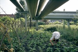 Meer dan twintig fotografen geven hun visie op ‘the B-side’