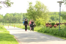 Route eenmalig over Zeesluis IJmuiden - Vissenloop wordt groot wandelfeest